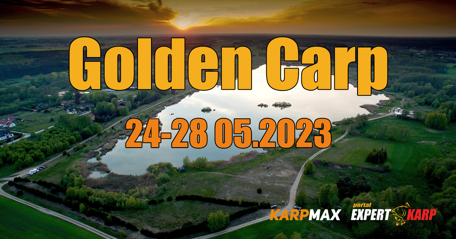 Golden Carp
