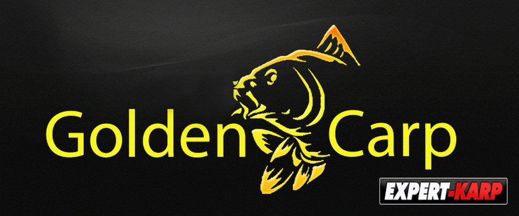 golden carp